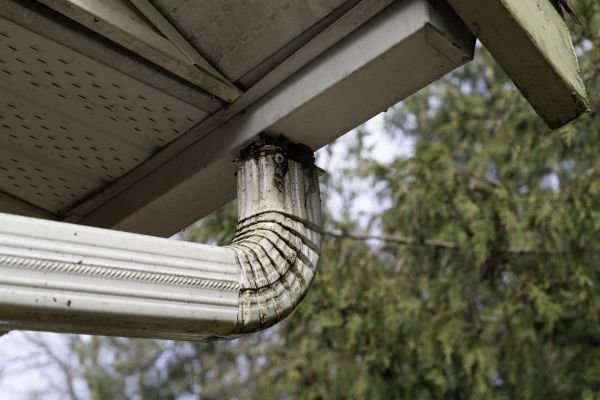 Cost of Roof Drain Replacement in Kirkland