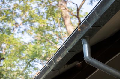 Gutter with Leaf Guard