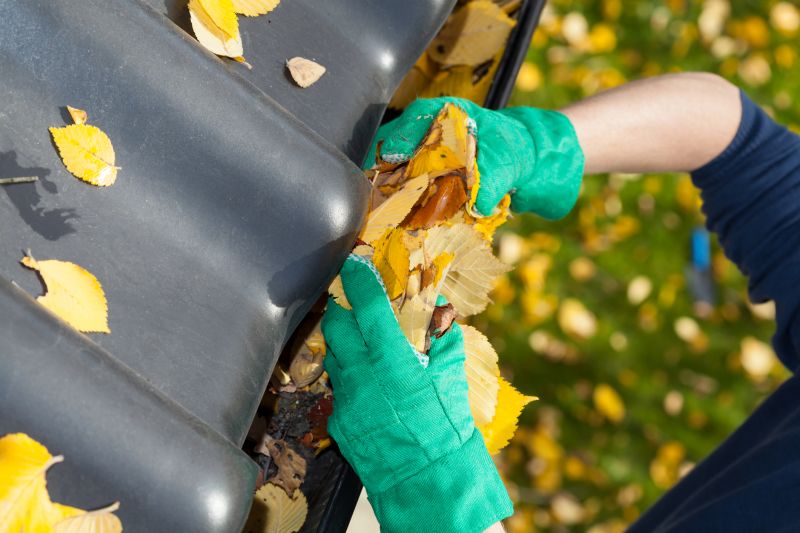 Gutter Cleaning in Fall