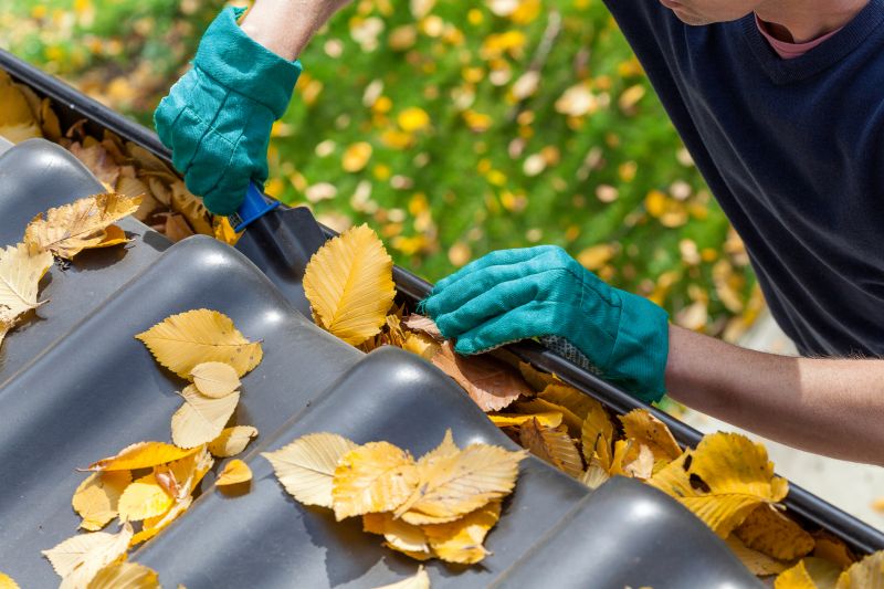 When to Schedule Gutter Service